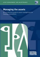 Front cover of Managing the Assets